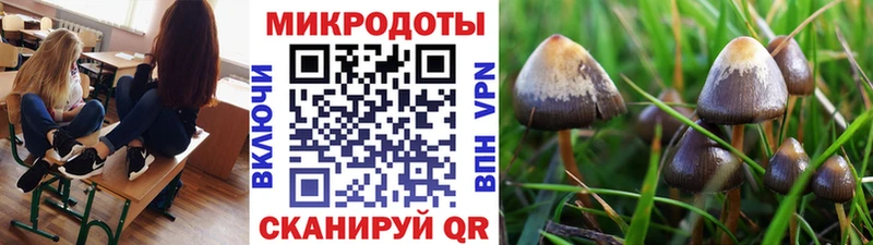 даркнет сайт  Жердевка  Галлюциногенные грибы прущие грибы 